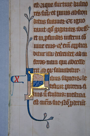 14 世紀ラテン語ウルガタ聖書 ベラム上イギリスで書かれてからページ上の文字の詳細 資本金手紙は金で照らされ 白の幾何学模様で飾られました 片 13 リード図像コレクションでダニーデン ニュージーランドから の写真素材 画像素材 Image 14 世紀ラテン語ウルガタ聖書 ベラム上イギリスで書かれてからページ上の文字の詳細 資本金手紙は金で照らされ 白の幾何学模様で飾られました 片 13 リード図像コレクションでダニーデン ニュージーランドから の写真素材 画像素材 Image