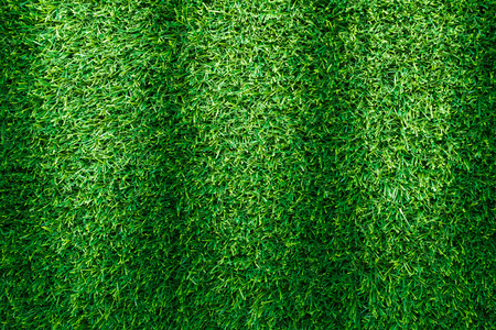 green grass background white artificial green grass texture or background for golf course soccer field sports green grass texture or background for stock green grass background white artificial green grass texture or background for golf course soccer field sports green grass texture or background for stock