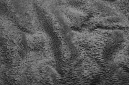 Black And White Carpet Texture On Black And White Fabric Carpet Texture Background Stock Photo 67845049 Black And White Fabric Carpet Texture Background Black And White Carpet Texture On Black And White Fabric Carpet Texture Background Stock Photo 67845049 Black And White Fabric Carpet Texture Background