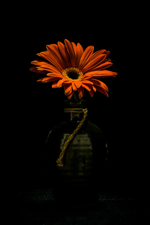 Stillleben Vase Mit Blumen Schwarzer Hintergrund Blumen