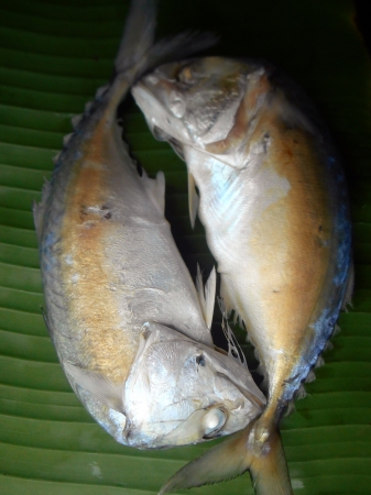 サバ魚をバナナを葉します の写真素材 画像素材 Image 23844936