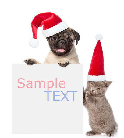 Cat and Dog with red christmas hats peeking from behind empty board and looking at camera. isolated on white background.