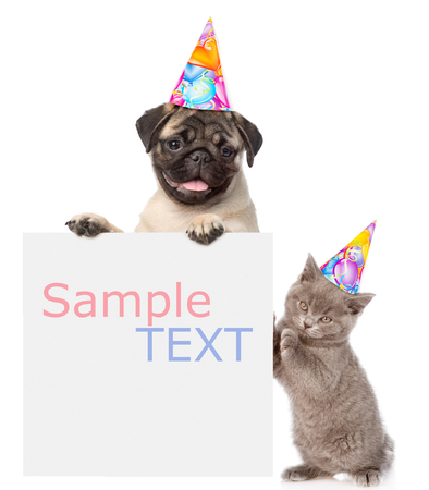 猫と犬の空のボードの後ろから覗くとカメラ目線します 白い背景に分離 の写真素材 画像素材 Image