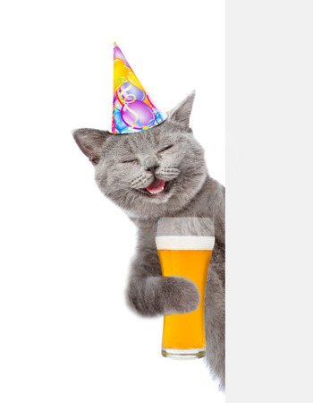 14 074 Joyeux Anniversaire Chat Imagenes Y Fotos 123rf