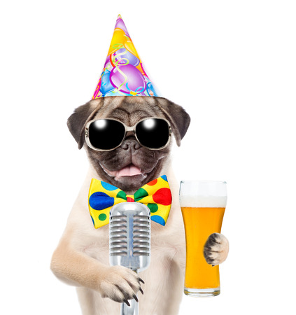 Funny puppy in birthday hat and sunglasses holding light beer and retro microphone. isolated on white background.