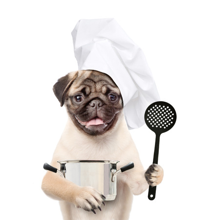 おかしい犬は 前足で金属鍋とスキマーを保持します 白い背景上に分離 の写真素材 画像素材 Image