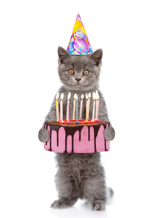 Chat Drole Prenant Un Gateau D Anniversaire Avec De Nombreuses Bougies Allumees Isole Sur Fond Blanc Banque D Images Et Photos Libres De Droits Image