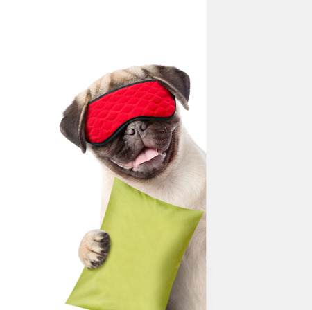 白いバナーの上にアイマスクと枕を持つ面白い子犬 白の背景に分離 の写真素材 画像素材 Image 白いバナーの上にアイマスクと枕を持つ面白い子犬 白の背景に分離 の写真素材 画像素材 Image