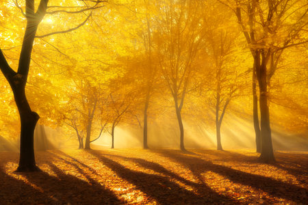 Evening in autumn park, golden trees, dramatic long shadows and sun rays. digital 3d illustration Banco de Imagens