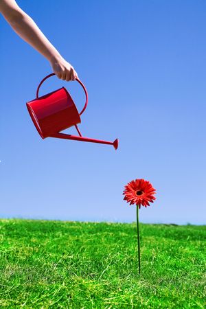 Woman watering flower