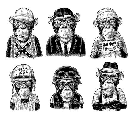 70以上 リアル かわいい 猿 イラスト 動物画像無料 70以上 リアル かわいい 猿 イラスト 動物画像無料