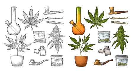 Set Marijuana. Cigarettes, pipe, lighter, buds, leaves, bottle, cigarette, glass jar, plastic bag, pipe for smoking cannabis. Vintage black and color vector engraving illustration. Isolated on white background