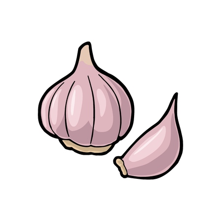 29 871 ニンニク のイラスト素材 ベクター 123rf