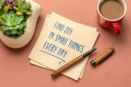 find joy in little things every day - inspirational handwriting on a napkin with a cup of coffee, positivity, mindset and personal development concept