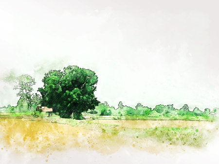 木とフィールドの風景水彩イラスト絵画の背景に抽象的なカラフルな形