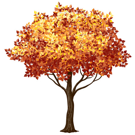 Tree in fall isolated on white. CMYK. Organized by layers. Global colors. Gradients free.