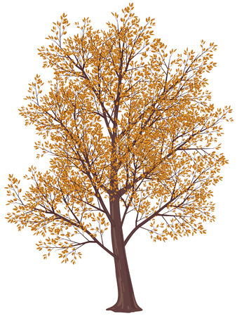 Tree in fall. Gradients free. Eps8. CMYK Vector Illustration