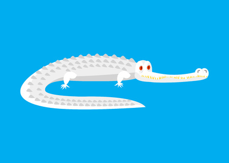 アルビノワニは孤立したワニの白いモンスター 捕食者の動物 ベクトルイラストのイラスト素材 ベクタ Image アルビノワニは孤立したワニの白いモンスター 捕食者の動物 ベクトルイラストのイラスト素材 ベクタ Image