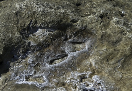 Pelapukan Kristalisasi Garam