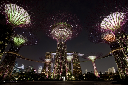 Garden By The Bay Fireworks gardenthe bay stock photos. royalty free gardenthe bay Garden By The Bay Fireworks gardenthe bay stock photos. royalty free gardenthe bay