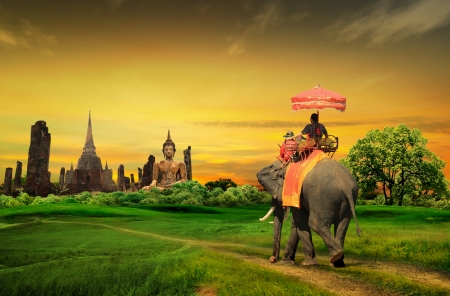 elephant: Sunset Thái quê Thái Lan