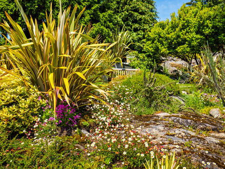 West Coast Landscape With Ricks And Blooming Plants In The Late Stock Photo - West Coast landscape with ricks and blooming plants in the late spring on Vancouver Island, Victoria - West Coast Landscape With Ricks And Blooming Plants In The Late