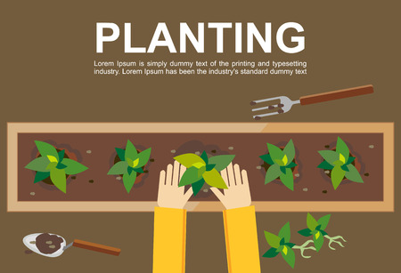 Planting illustration. Planting concept. Flat design illustration concepts for working farming harvesting gardening architectural seeding cultivate go green.