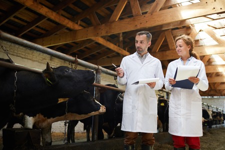 White Apron -Medium for Dairy Farm Restaurant Lab Commercial Kitchen Vet