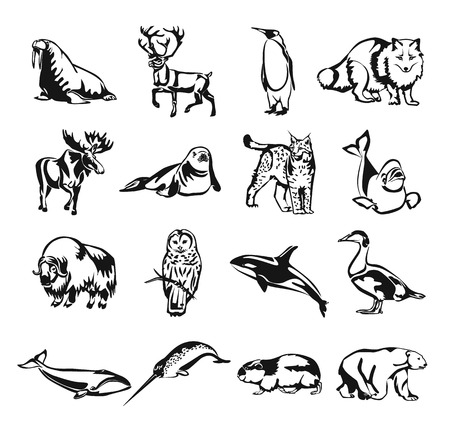 北の動物のベクトル黒落書き概要絵文字アイコンを設定 のイラスト素材 ベクタ Image