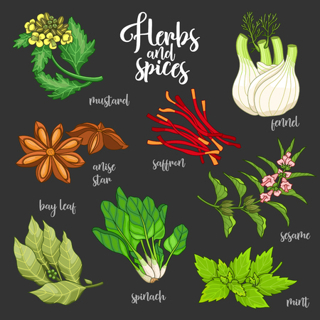 スパイスとハーブのおいしいと健康的な食品を準備するとき マスタード 湾の葉 アニス星 サフラン ゴマ フェンネル ミント ほうれん草と白い背景の植物図の色 のイラスト素材 ベクタ Image スパイスとハーブのおいしいと健康的な食品を準備するとき マスタード 湾の葉 アニス星 サフラン ゴマ フェンネル ミント ほうれん草と白い背景の植物図の色 のイラスト素材 ベクタ Image