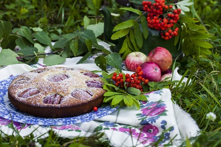 Homemade Apple Pie Outdoors In Rustic Style Photo Homemade Apple Pie Outdoors In Rustic Style Photo