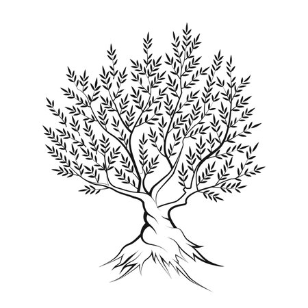 kleine stechpalme Japanische Stechpalme Fastigiata - Ilex crenata fastigiata main image 0