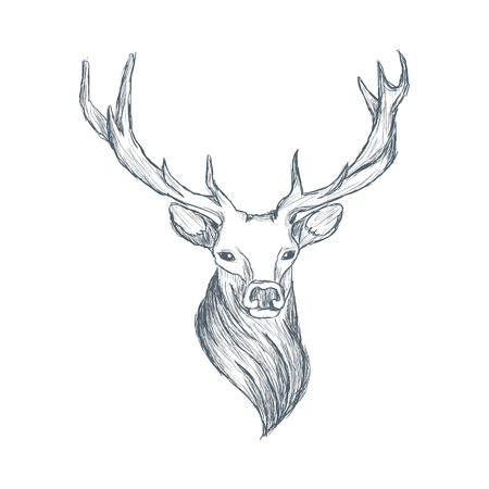13 493 deer head stock illustrations cliparts and royalty sketches of deer