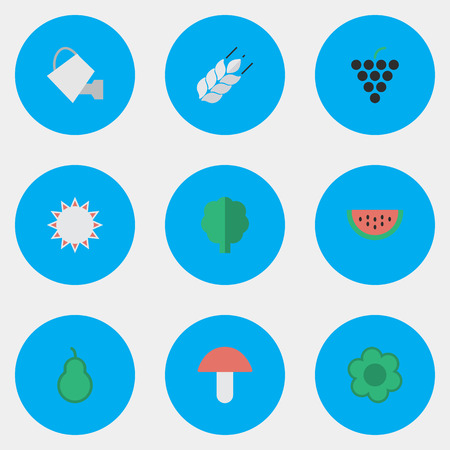Vector Illustration Set Of Simple Gardening Icons. Elements Wine, Fungus, Corn And Other Synonyms Punching, Pear And Mushroom. Иллюстрация