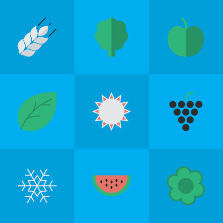 Vector Illustration Set Of Simple Horticulture Icons. Elements Corn, Sheet, Wood And Other Synonyms Tree, Wineglass And Wine. Иллюстрация