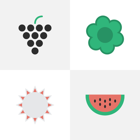 Vector Illustration Set Of Simple Gardening Icons. Elements Melon, Sunny, Wine And Other Synonyms Sun, Watermelon And Hate.
