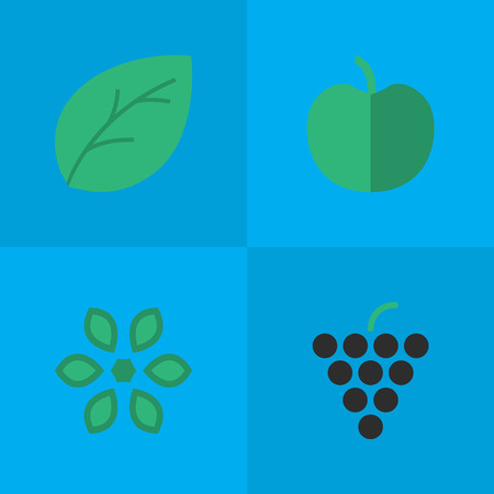 Vector Illustration Set Of Simple Gardening Icons. Elements Wine, Blossom, Fruit And Other Synonyms Sheet, Flower And Blossom.
