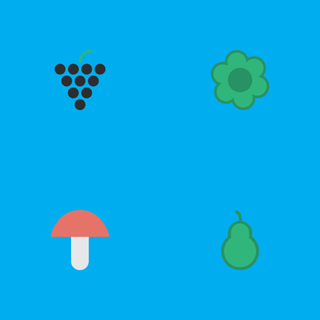 Vector Illustration Set Of Simple Gardening Icons. Elements Flower, Punching Bag, Wine And Other Synonyms Punching, Grape And Mushroom.