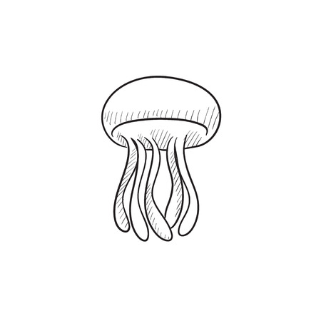 jellyfish vector sketch icon isolated on background hand drawn royalty free cliparts vectors and stock illustration image 57815685