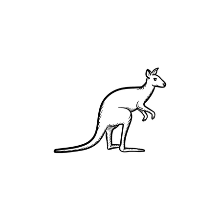 vector hand drawn kangaroo outline doodle icon kangaroo sketch