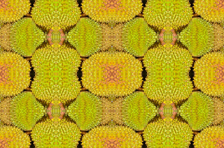 Durian: Thorny durian backgrond