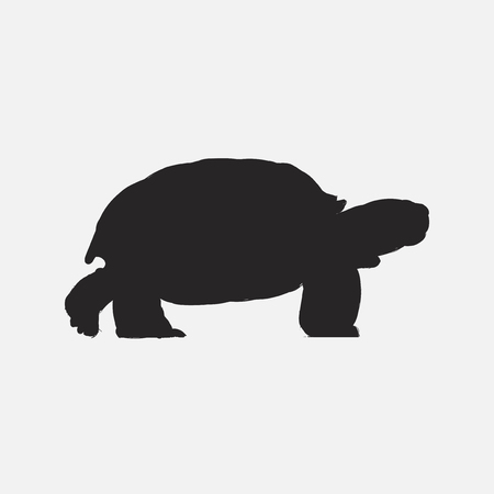 亀の描き方を描くイラスト の写真素材 画像素材 Image