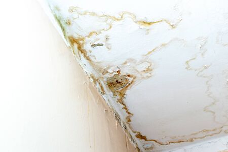 63 196 漏れ の写真素材 ストックフォト 123rf 63 196 漏れ の写真素材 ストックフォト 123rf