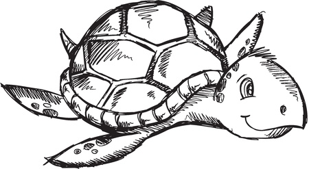 cute sketch doodle drawing sea turtle art illustration royalty free