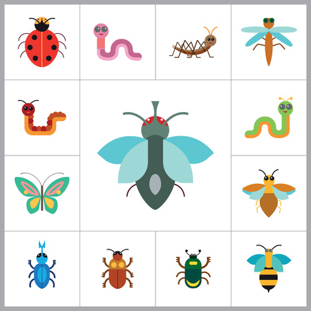 昆虫アイコンを設定 テントウムシ蜂カブトムシ蚊飛ぶ黒いダニ蝶ブルービートル ダニ虫ピンク ワームかわいい毛虫 Ant のイラスト素材 ベクタ Image