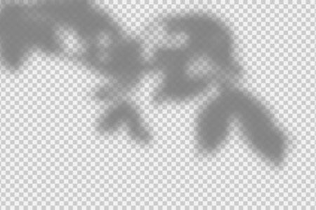 Shadow overlay effect. transparent overlay shadow from leaves, branches, plant and foliage. realistic soft light effect of shadows and natural lightning on transparent background. vector. Ilustrações vetoriais