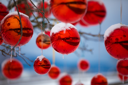 colorful reflective christmas ball ornaments outdoor with snow and icicles outdoor photo during advent against - Outdoor Christmas Ball Ornaments colorful reflective christmas ball ornaments outdoor with snow and icicles outdoor photo during advent against - Outdoor Christmas Ball Ornaments