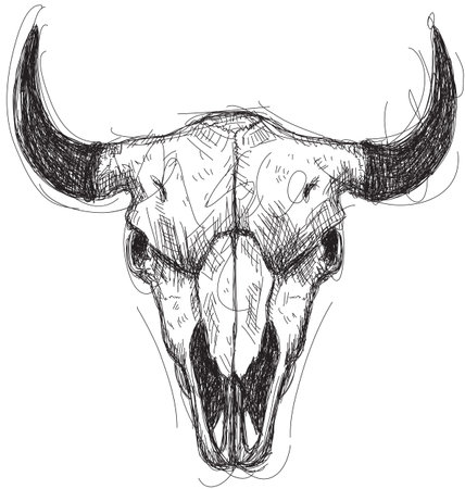 43852132-cow-skull-sketch.jpg