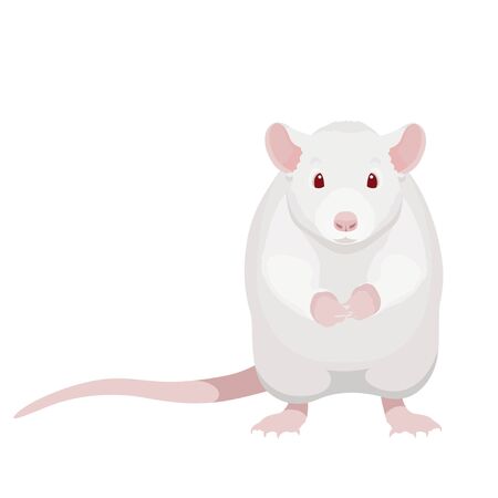 13 028 動物動物実験室 のイラスト素材 ベクター 123rf