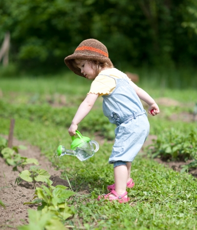 Little girl is watering vegetable plants